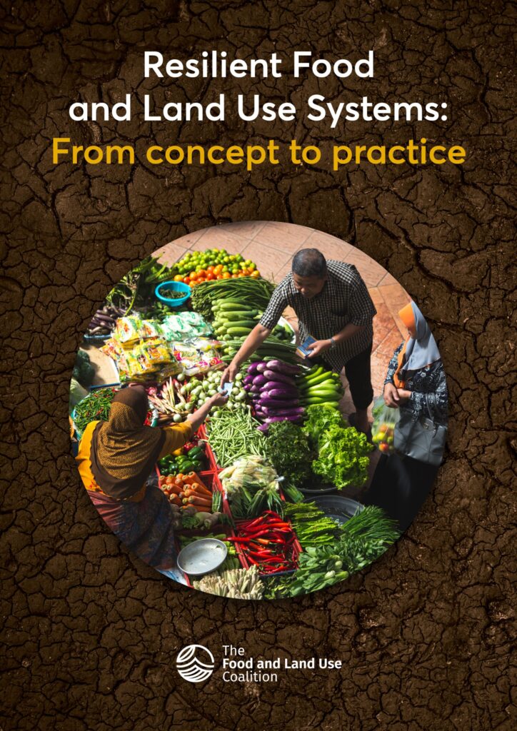 Resilient Food and Land Use Systems: From concept to practice